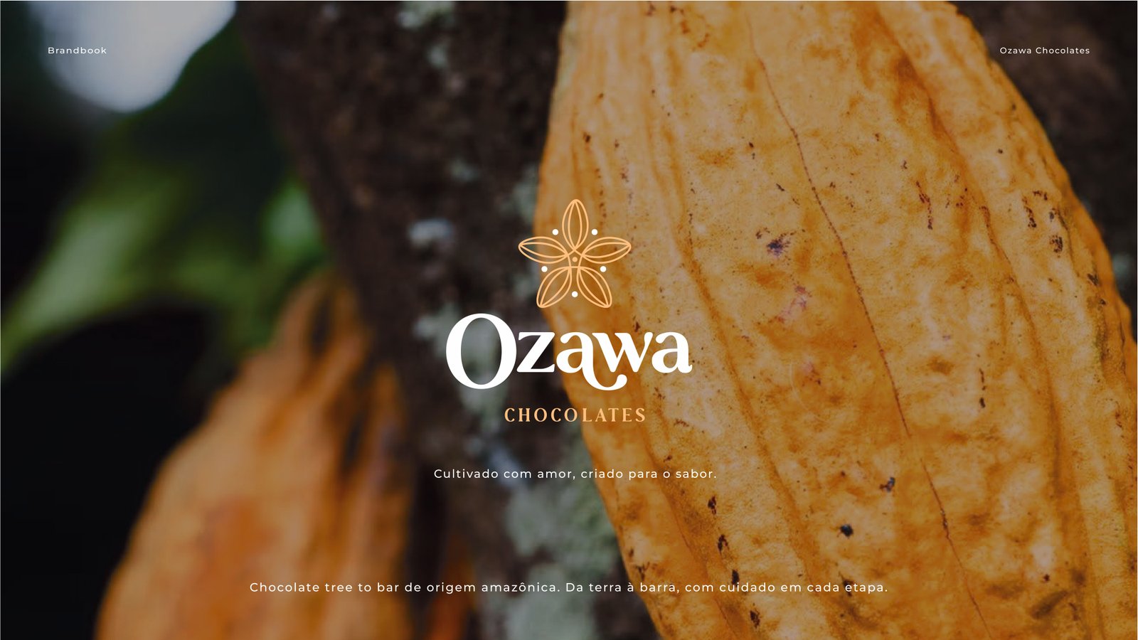 Brandbook Ozawa Chocolate -  Cacau Studio