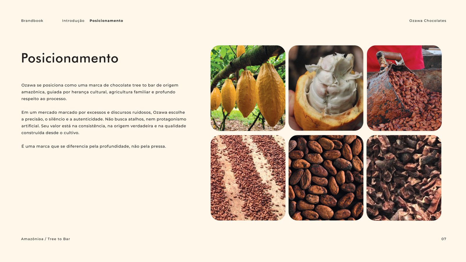Brandbook Ozawa Chocolate -  Cacau Studio