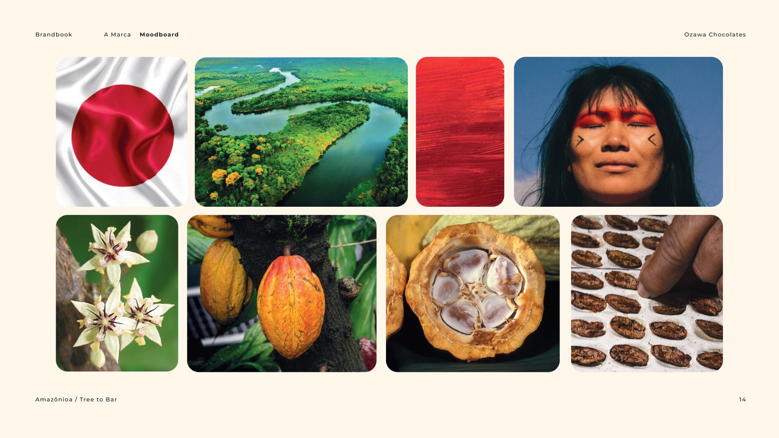Brandbook Ozawa Chocolate -  Cacau Studio