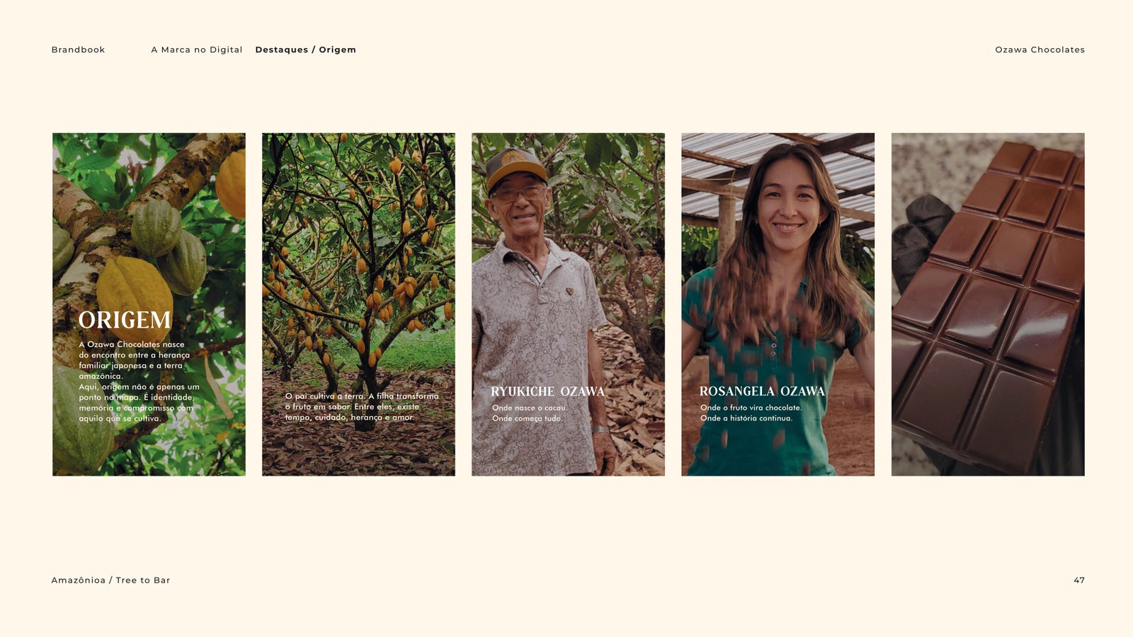 Brandbook Ozawa Chocolate -  Cacau Studio