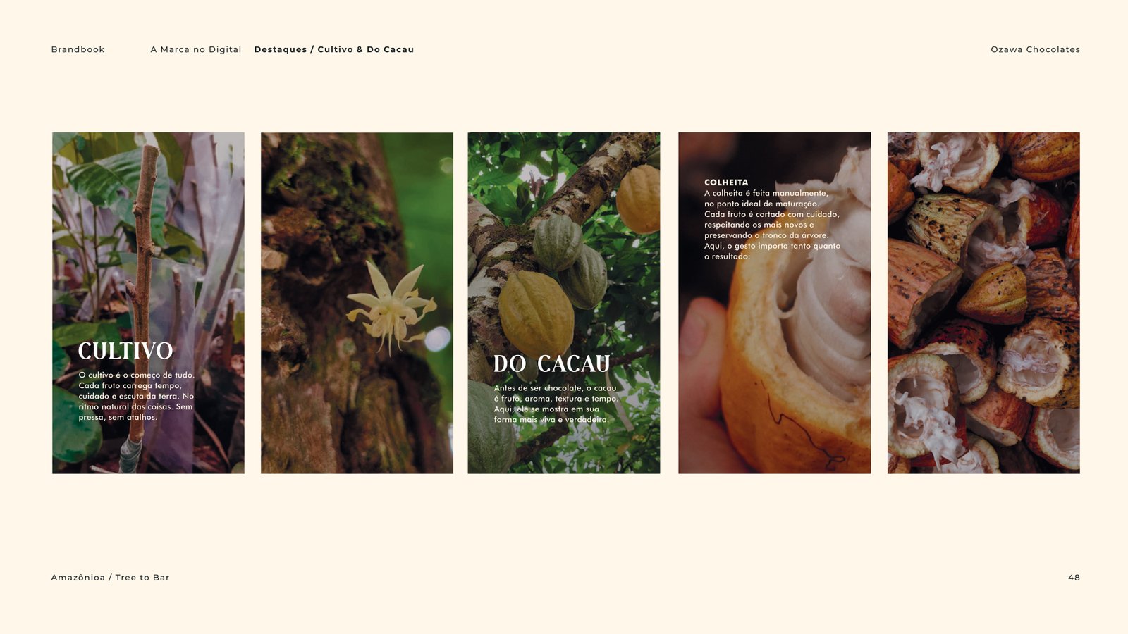 Brandbook Ozawa Chocolate -  Cacau Studio