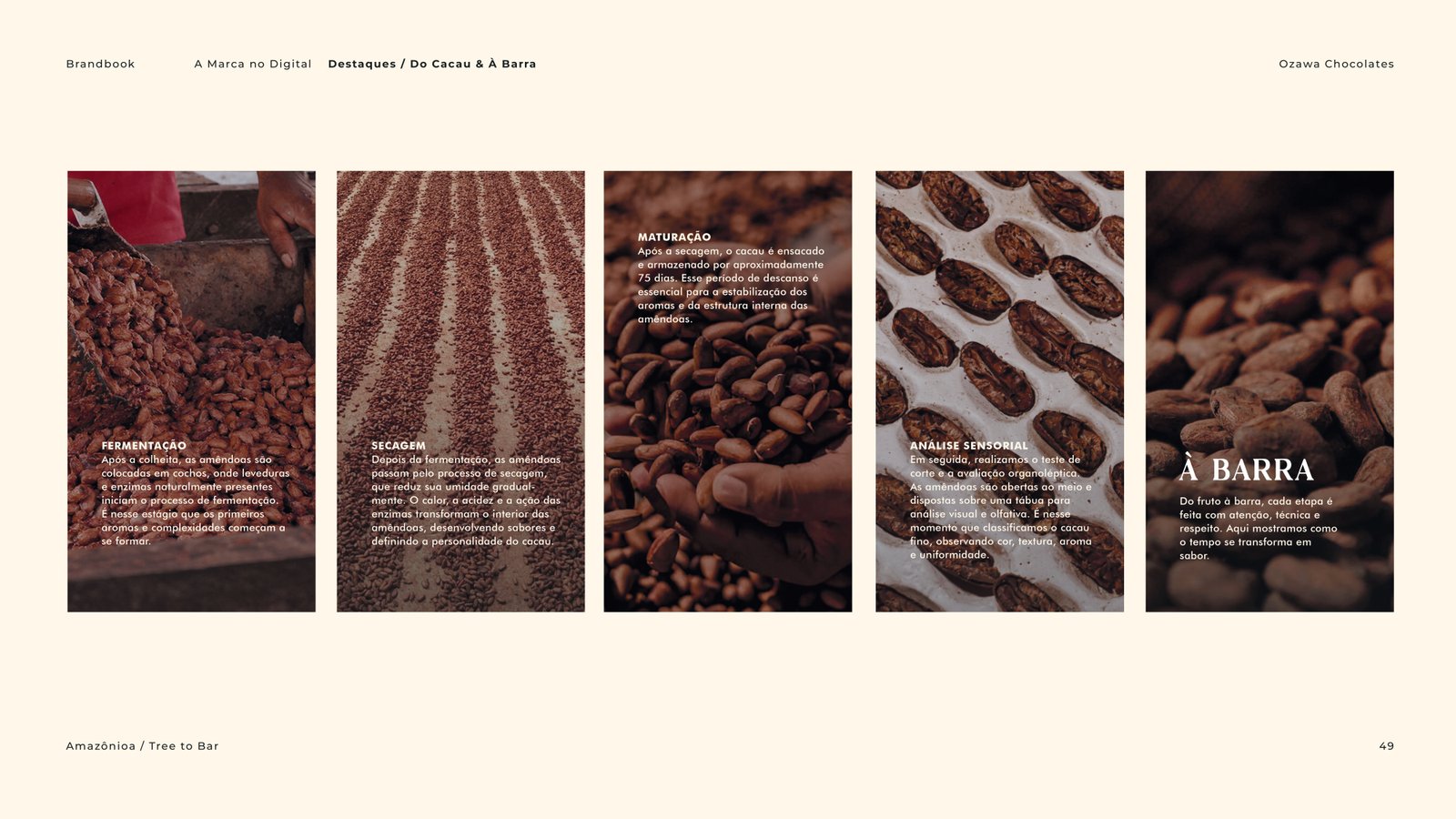 Brandbook Ozawa Chocolate -  Cacau Studio